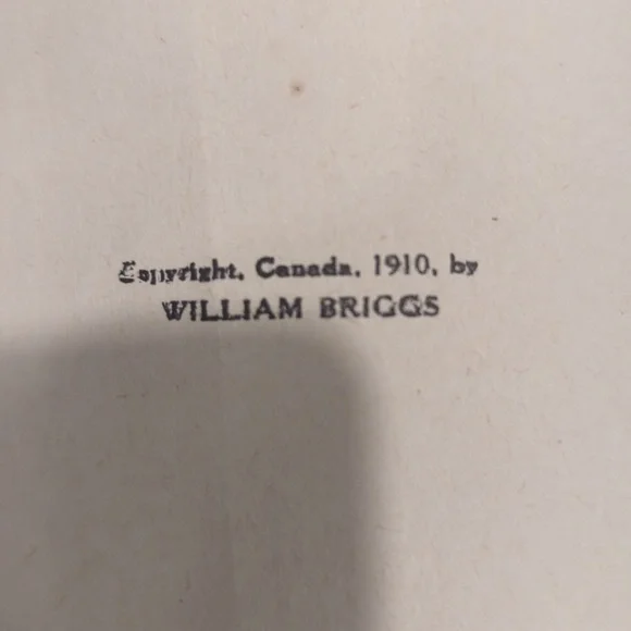 1910 "The Second Chance" By Nellie McClung - Picture 5 of 12